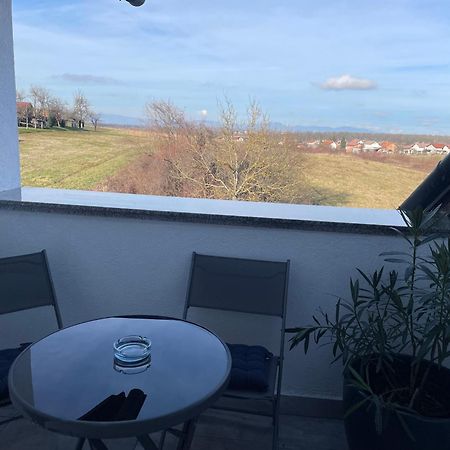 Vila Milka - Balkon - Besplatan Parking - Samostalna Prijava Karlovac Extérieur photo